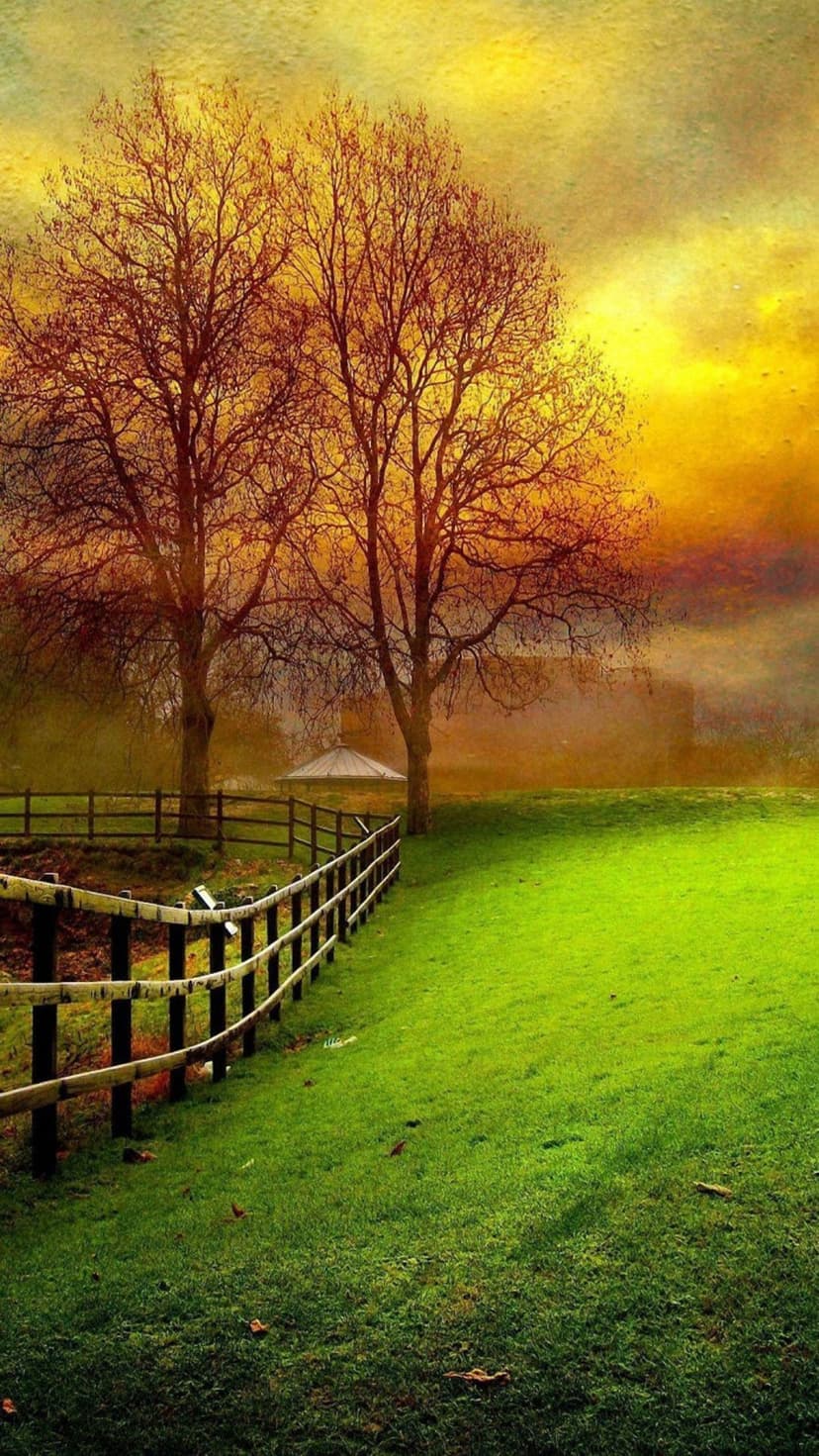 Two slender autumn trees stand by a rustic wooden fence in a green pasture under a glowing golden sunset sky.