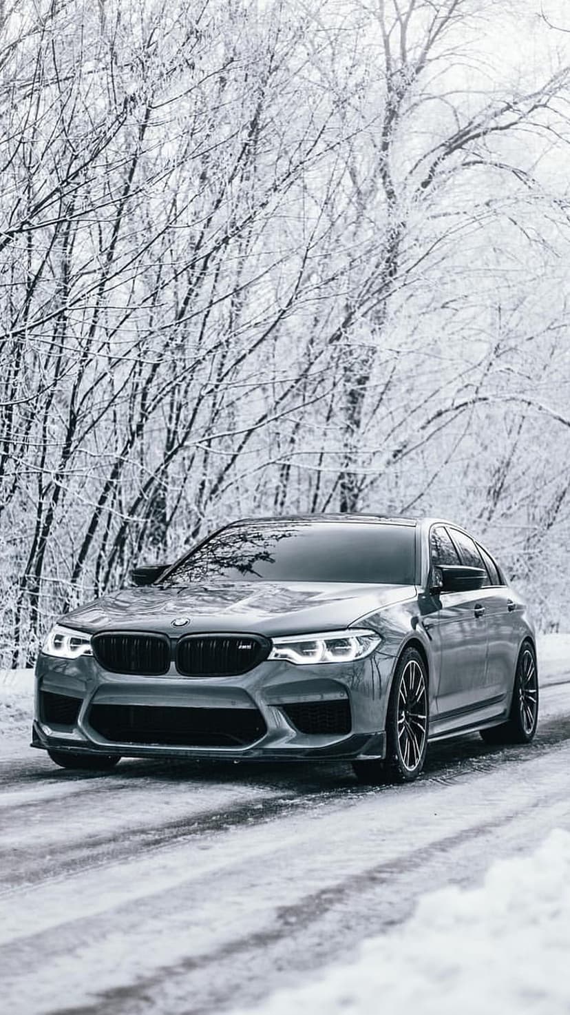Gray BMW M5 sedan driving on a snow-covered road through a dense forest with frost-covered evergreen branches.