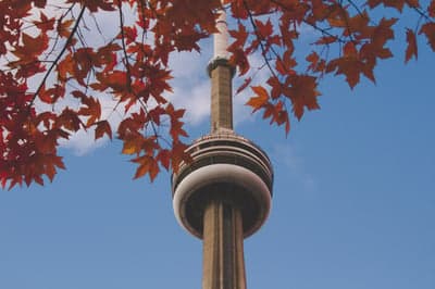 CN Tower in Autumn with Red Maple Leaves