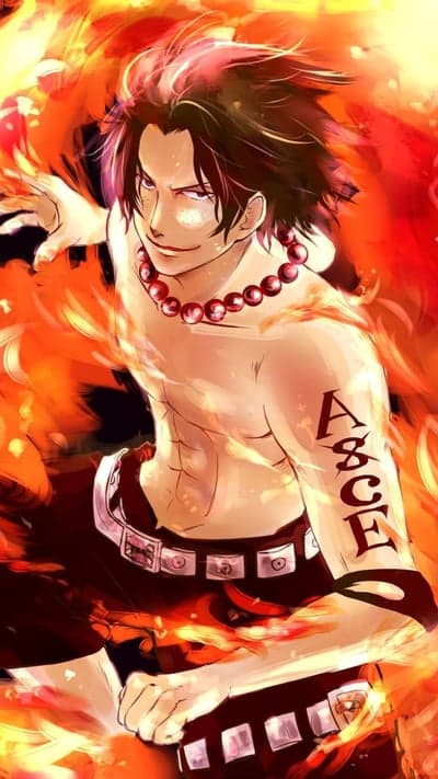 Fiery Portgas D. Ace Character Art
