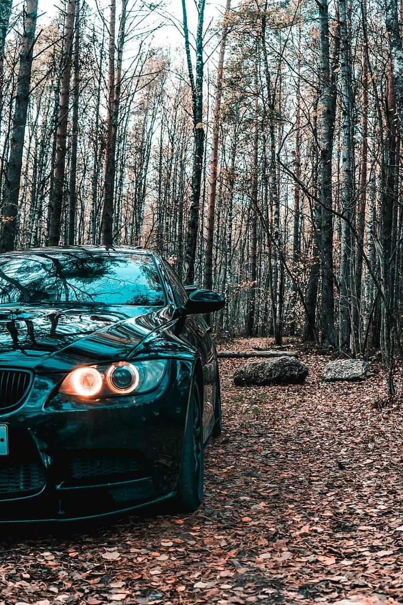Black BMW M3 with glowing circular headlights parked on orange fallen leaves in a misty autumn forest.