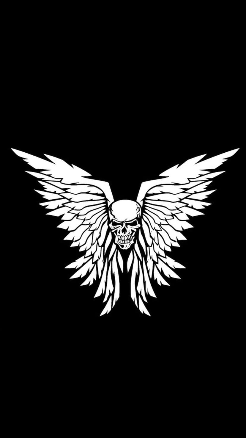 White skull with outstretched feathered wings centered on a solid black background in a minimalist silhouette style.