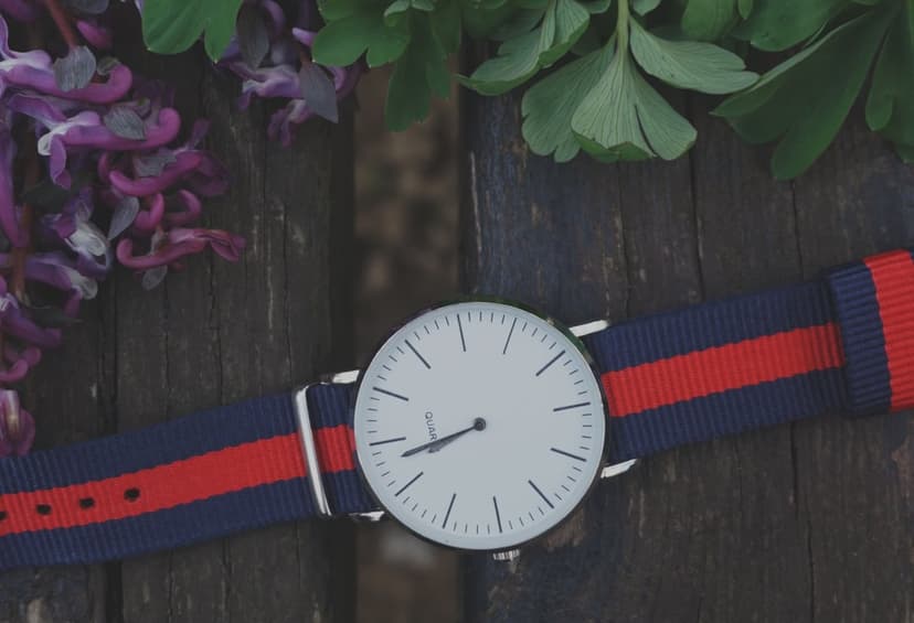 White watch with a red and blue striped NATO strap rests on weathered wood near purple flowers and green leaves.