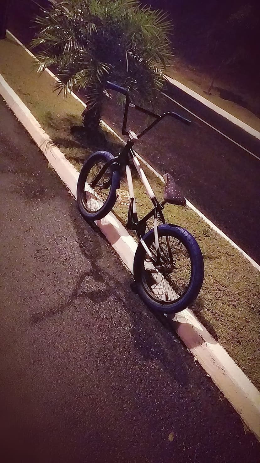 BMX bike with bright blue tires parked on a grassy roadside next to a tall palm tree under night artificial lights.