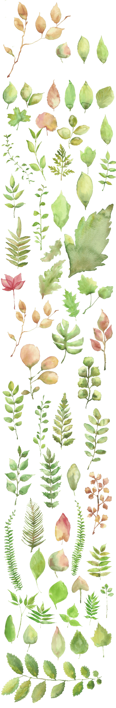 Watercolor green leaf illustration features intricate brushwork, layered emerald pigments, and realistic textures.