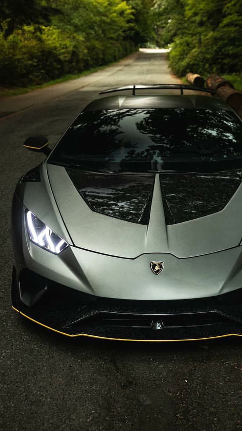 Silver Lamborghini supercar with glowing headlights on a paved forest road under dappled sunlight and green trees.