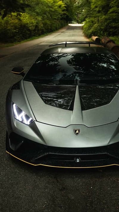 Silver Lamborghini on a Forest Road