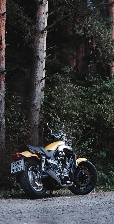 Yellow motorcycle parked on gravel road in forest