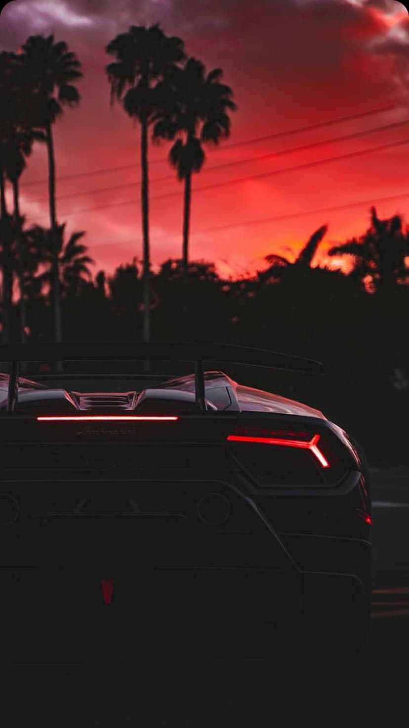 Black Lamborghini silhouette with glowing taillights parked under tall palm trees during a red sunset sky.