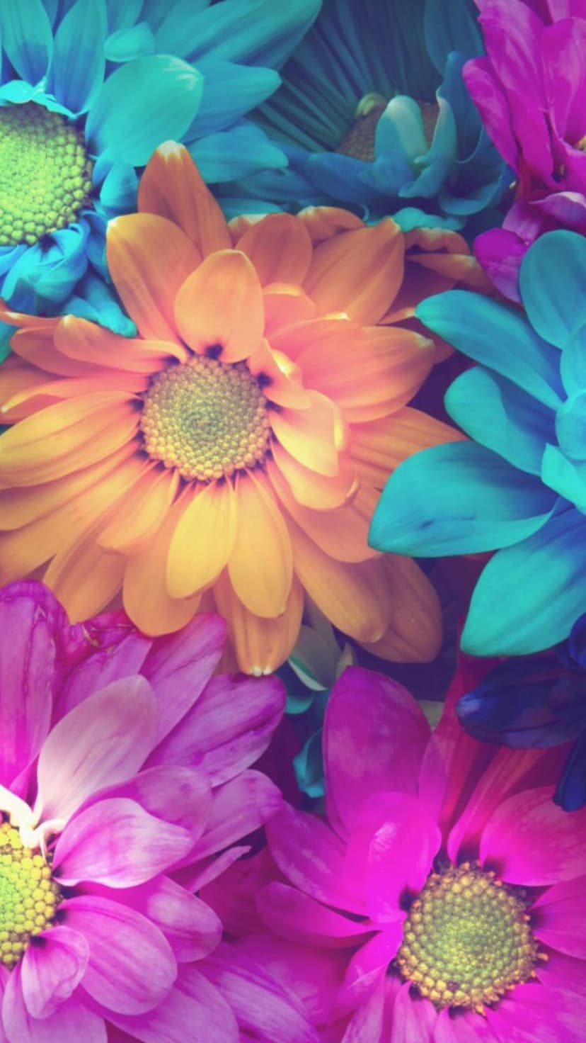Neon blue and pink flowers with detailed orange centers and layered petals fill the frame in a dense cluster.
