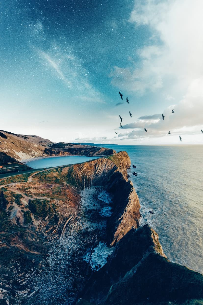 Migrating birds fly above steep rocky cliffs and ocean waves under a starry sunset sky in a vertical view.