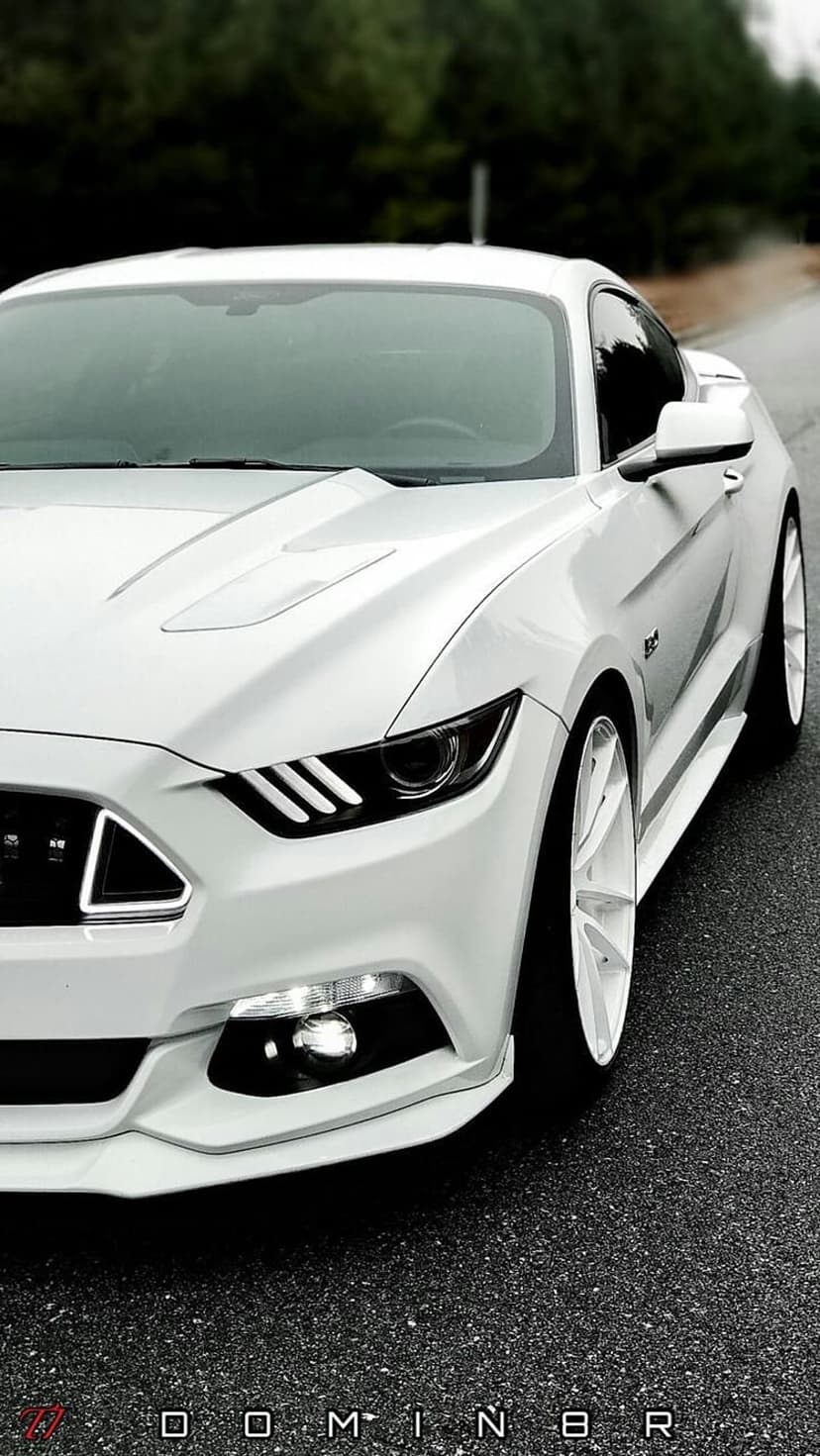 White Ford Mustang GT Fastback parked on asphalt with white rims, LED headlights, and a blurred forest background.