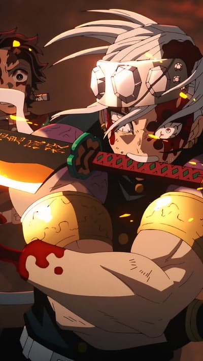 Anime Fight Scene: Demon Slayer Characters in Action