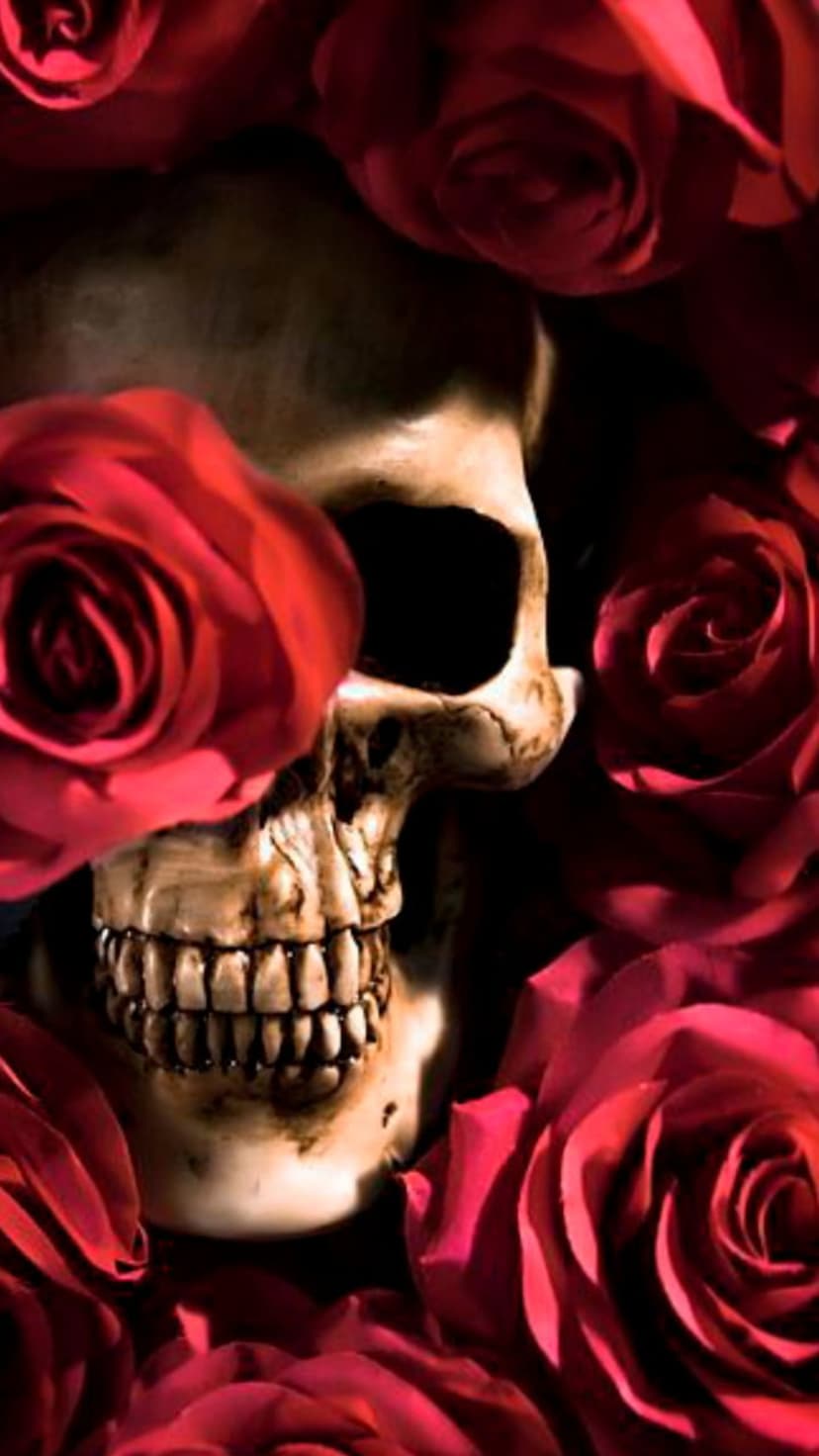 Human skull nestled in a bouquet of deep red roses with dramatic lighting on a dark, shadowy background.