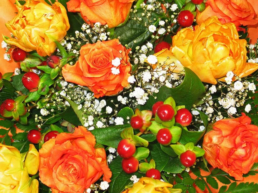 Orange and yellow roses with red berries and baby's breath petals arranged in a dense top-down floral composition.