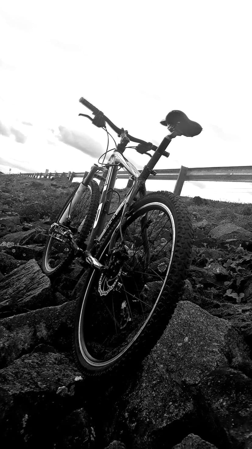 Mountain bike with thick tires parked on a rocky cliffside under a cloudy sky in a black and white photograph.