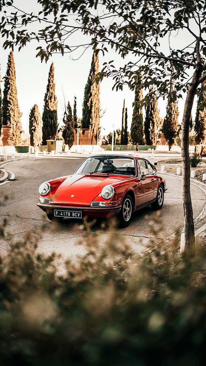 Vintage red Porsche 911 parked on a winding asphalt road surrounded by towering trees and dense green foliage.