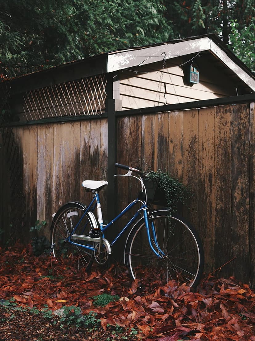 Blue vintage bicycle leaning against a rustic wooden shed over a carpet of red and brown autumn leaves.