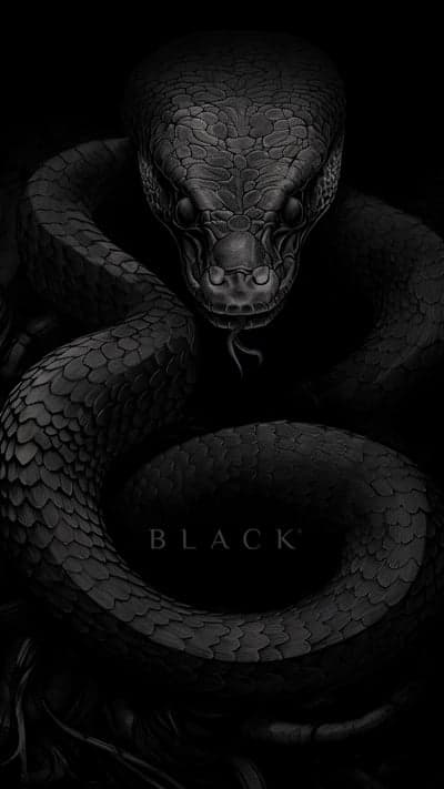Dramatic Black Snake Illustration with "BLACK" Text