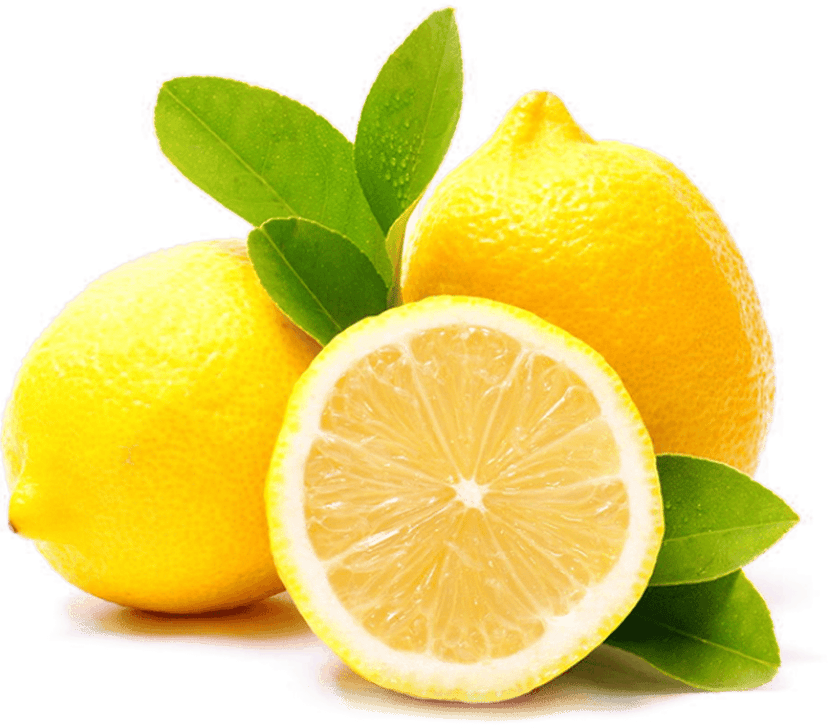 Yellow lemon citrus fruit illustrations showing a whole lemon and round slice against a transparent background.