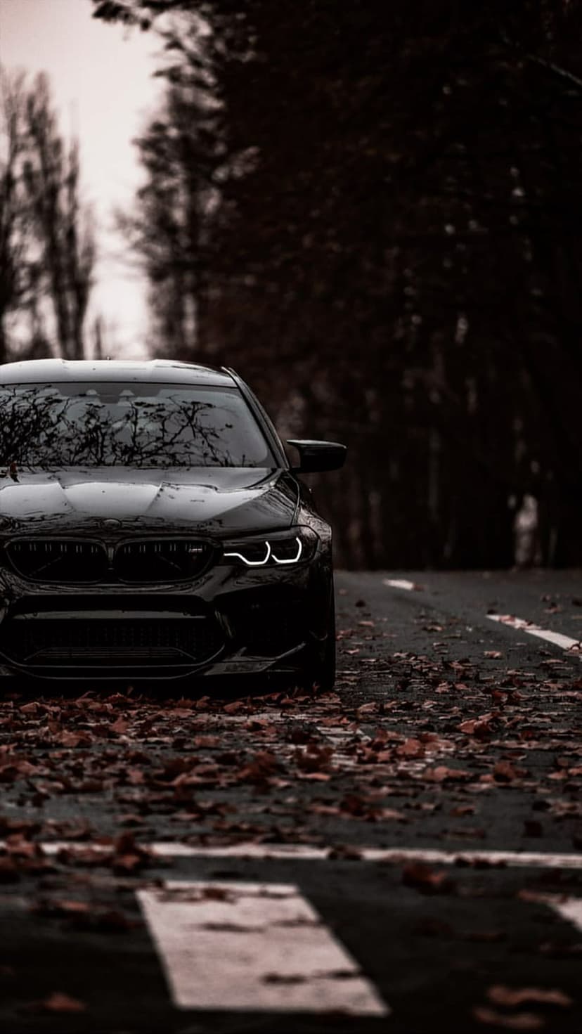 Black BMW M5 sedan with glowing headlights parked on a road covered in orange autumn leaves in a dark forest.