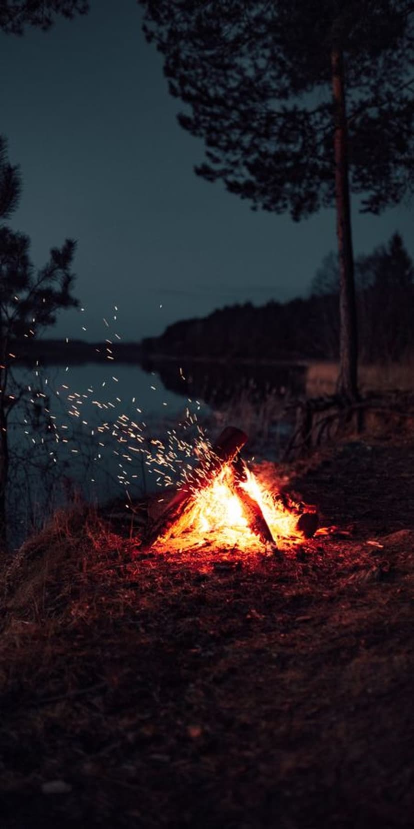 Orange bonfire emitting bright sparks beside a dark lake under a starry night sky with forest silhouettes.