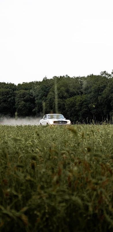 Vintage White Mustang Muscle Car Mobile Screen Backdrop