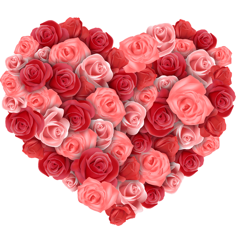 Heart shaped rose bouquet features layered pink petals and green leaves isolated on a transparent background.