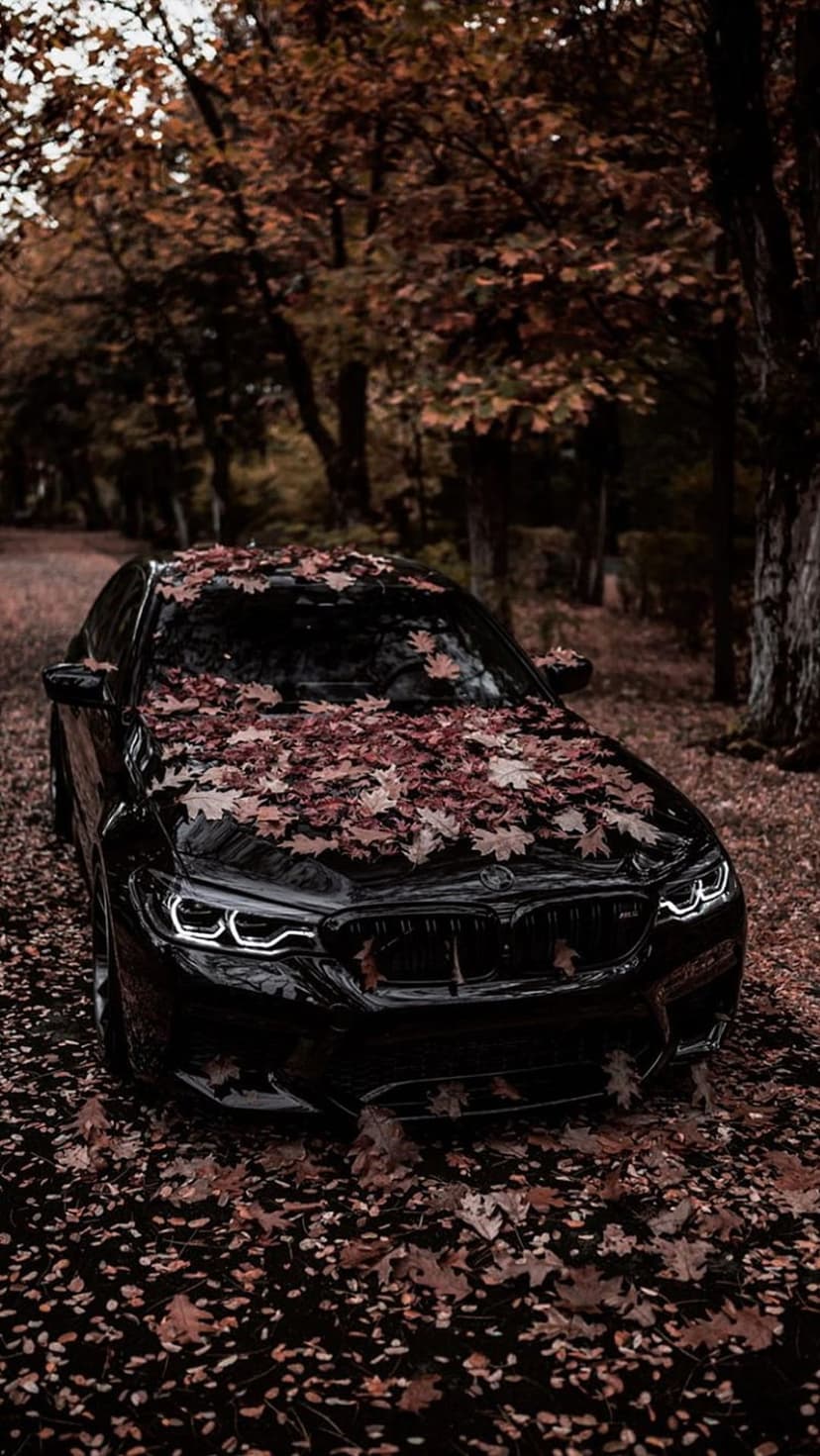 Black BMW sedan parked on a winding road covered in red and orange autumn leaves within a misty woodland.