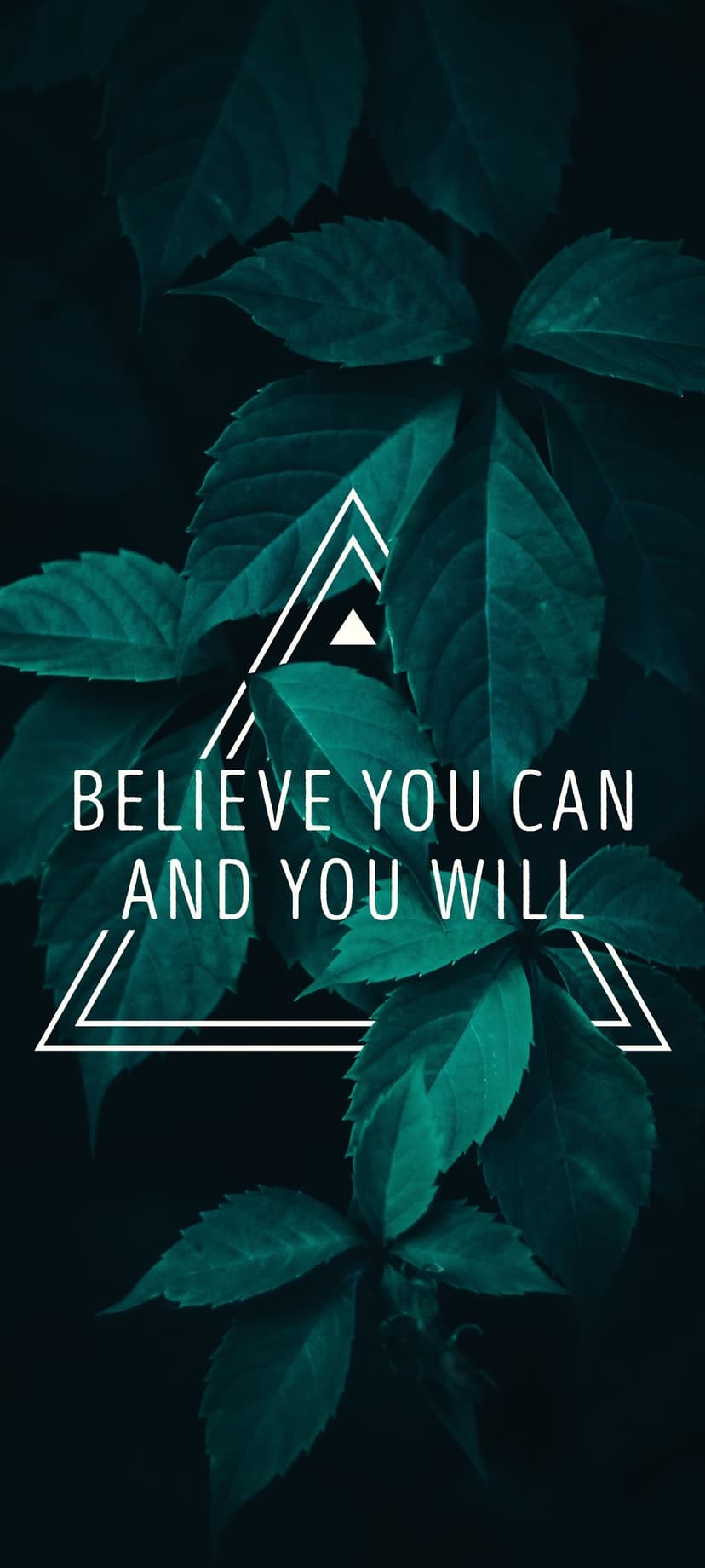 Believe You Can text inside a white triangle layered over deep green tropical leaves with soft shadows.