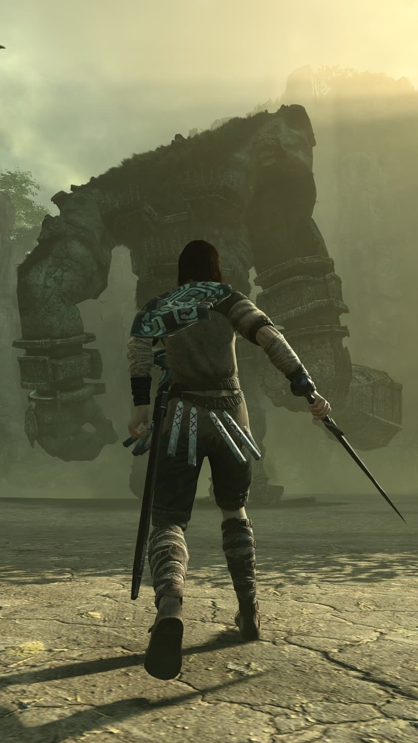Wander stands with a sword facing a massive stone giant in a misty, sunlit valley with mossy ruins.