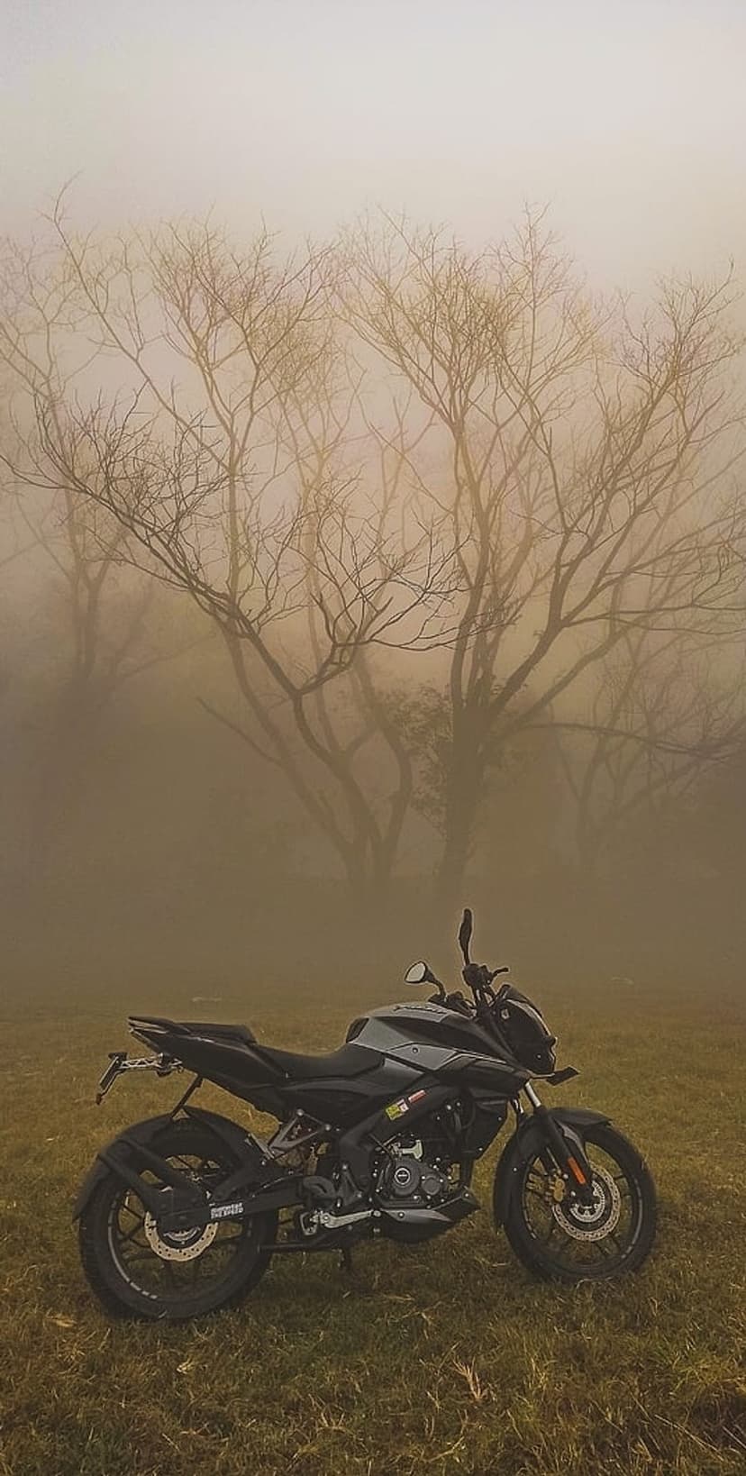 Black motorcycle parked in a grassy field surrounded by thick mist and silhouettes of bare tree branches.