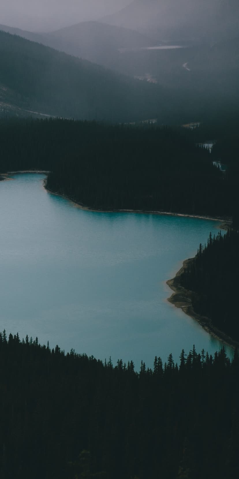 Turquoise glacial lake winds through a dark pine forest surrounded by misty alpine mountains in the distance.
