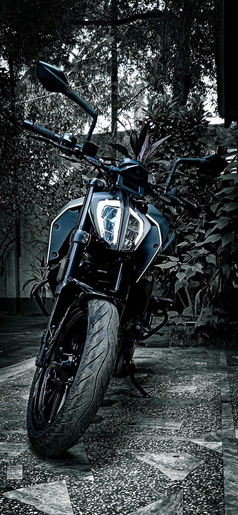 Black motorcycle with a round headlight parked on a stone path surrounded by dark, dense forest leaves.