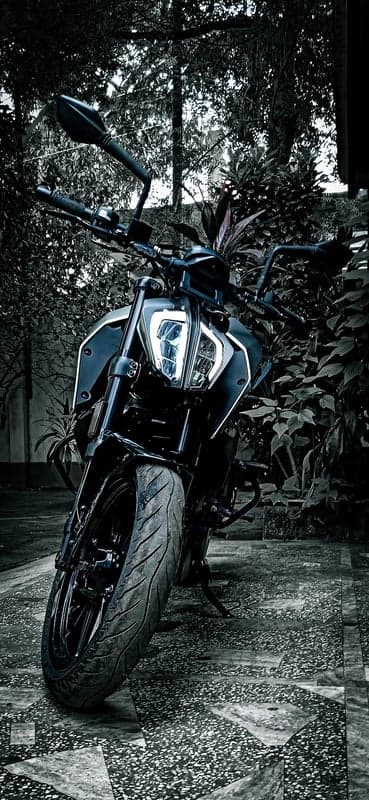 Black Motorcycle Parked Amongst Lush Greenery