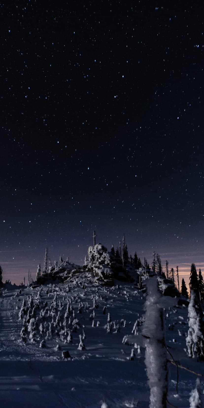 Snow-covered evergreen trees on a rocky hill under a dark blue night sky filled with bright twinkling stars.