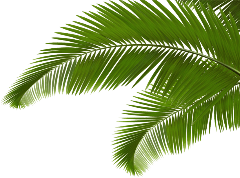 Green palm branch watercolor painting features detailed coconut leaves and organic textures against transparency.