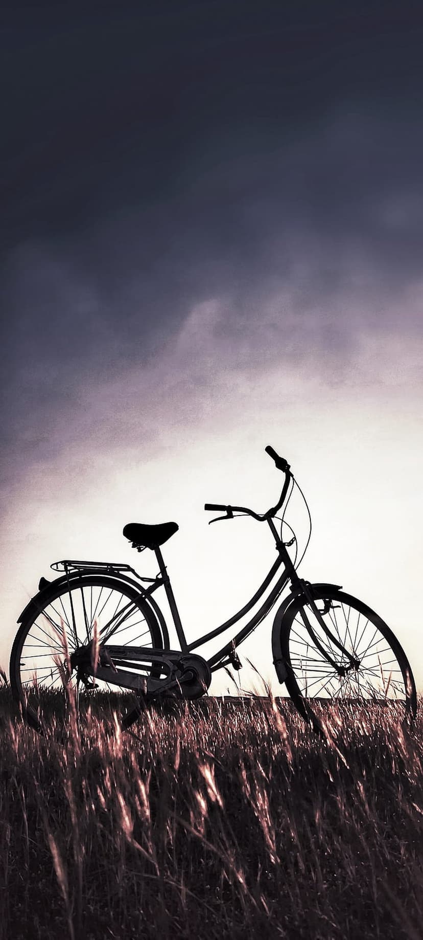 Vintage bicycle silhouette in a tall grass meadow under a dark, dramatic cloudy sky during evening twilight.