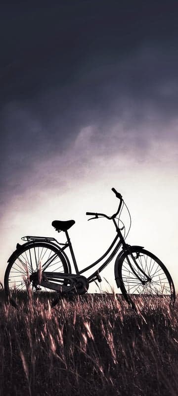 Silhouette of a Bicycle in a Field at Dusk