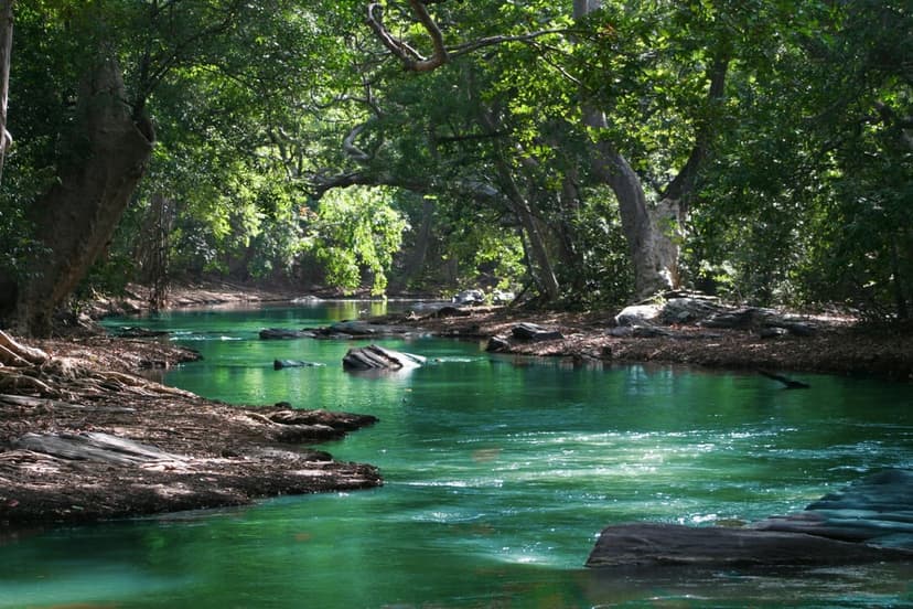 Crystalline emerald river flows through a dense sunlit jungle with light rays hitting the mossy rocks and water.