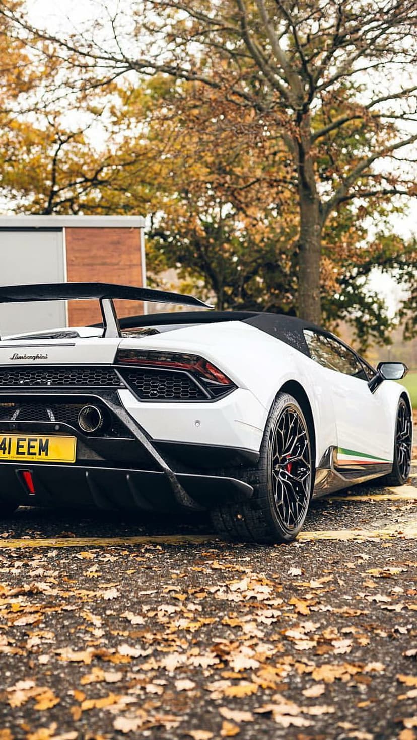 White Lamborghini convertible with a black roof parked on a street covered in orange and yellow autumn leaves.