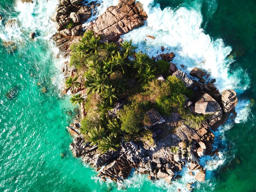Tropical island palm trees meet crashing ocean waves on a rocky shore viewed from a high aerial perspective.