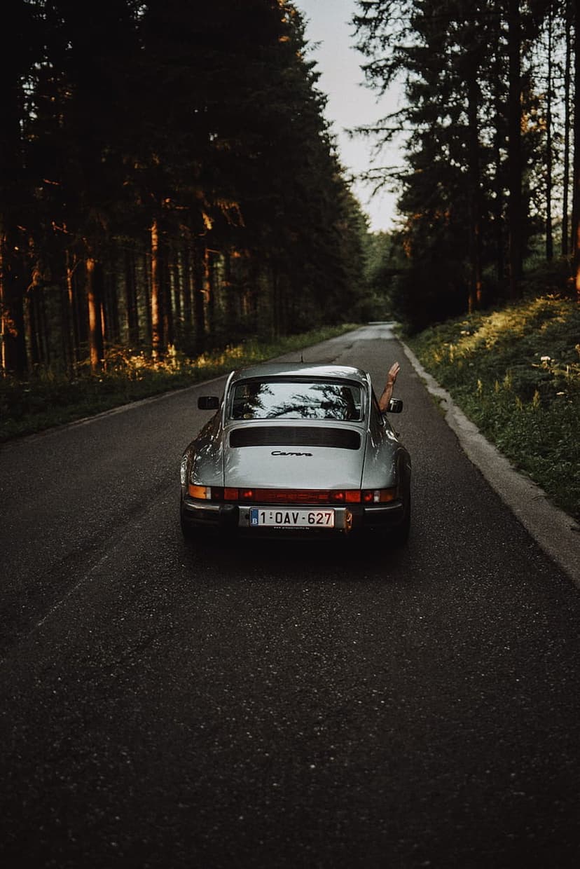 Silver vintage Porsche Carrera driving on a forest road with sunlight filtering through evergreen branches.