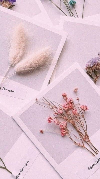 Delicate dried flowers on pastel cards for gifting