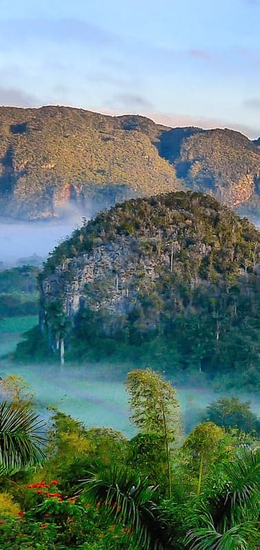 Misty Peaks- Lush Valleys Shrouded in Morning Fog
