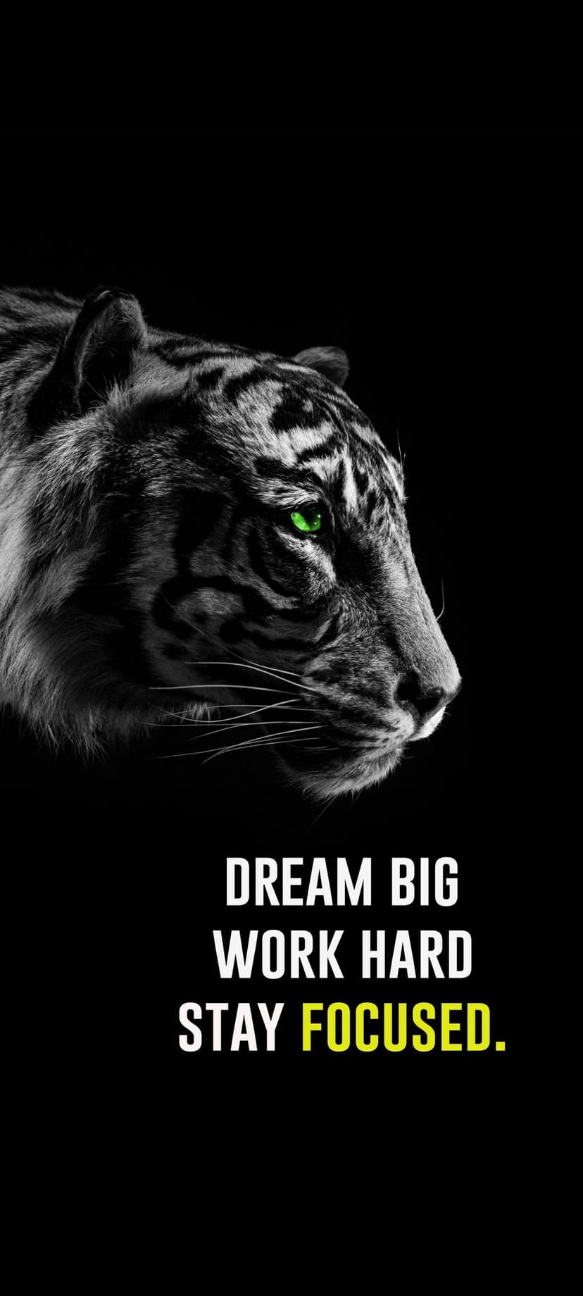 Tiger face in black and white with glowing green eyes and text reading Dream Big Work Hard Stay Focused.
