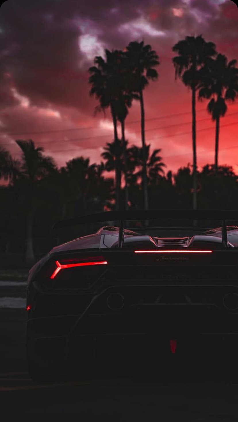Lamborghini rear view with glowing red taillights silhouetted against a purple and orange tropical sunset.