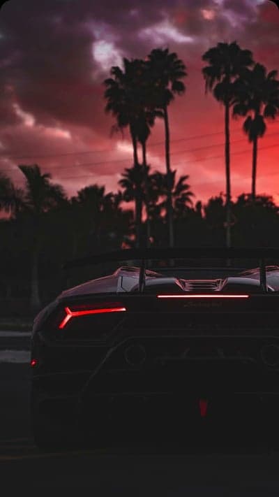 Tropical Lamborghini Rear View Aesthetic Phone Wallpaper