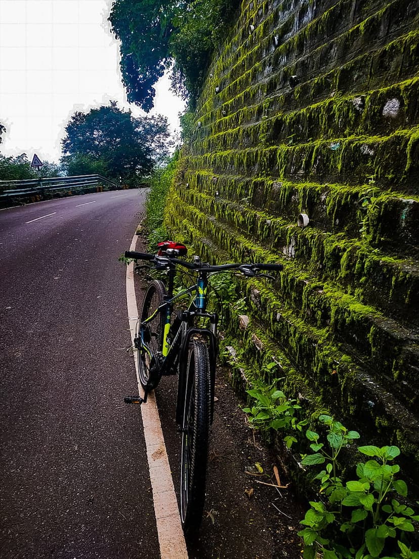 Mountain bike rests against a green mossy stone wall alongside a winding rural asphalt road in the forest.