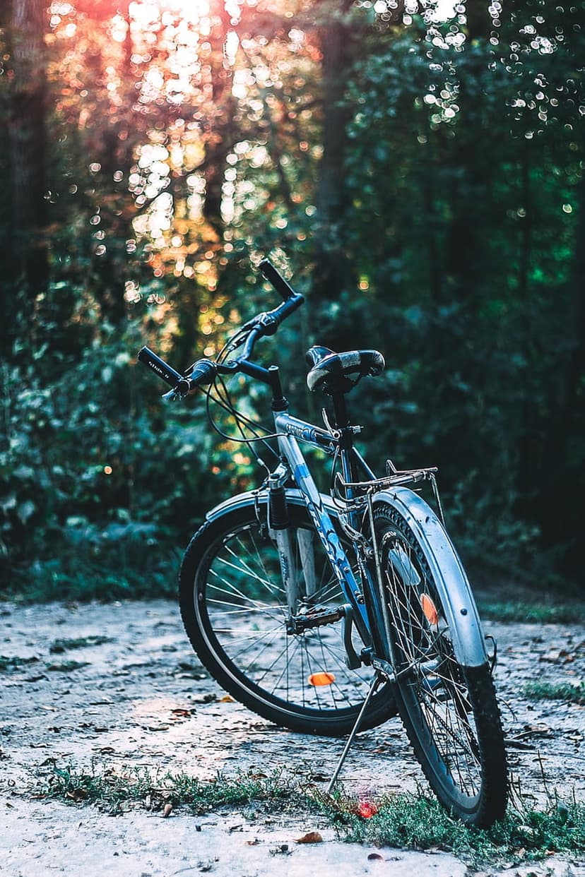 Blue bicycle parked on a dirt forest trail with warm sunlight filtering through trees and soft bokeh background.